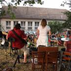 Koncert u rybníka II. v Příbrazi 26.7.2015